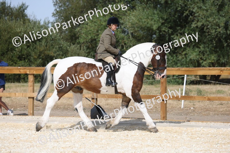 20260802-0412 - Class 6 - Veteran Ridden
