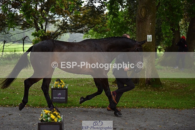 240522-151324-00180 - 316-LB_METTAPHOR-Tom_Rowland