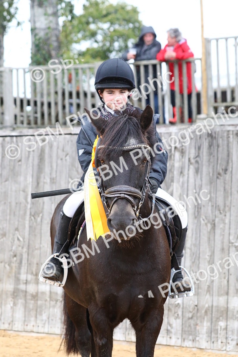 SBM_72124 - J3b - Mini Tour Junior Pony 40cm Championship