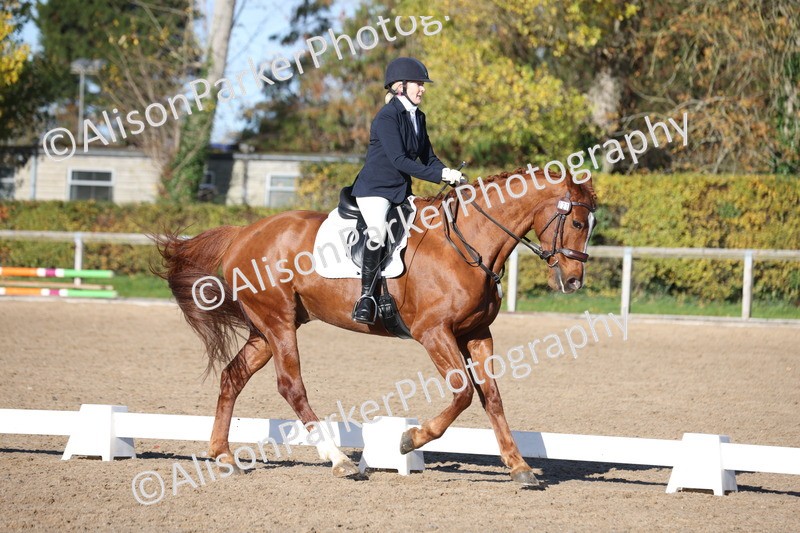 20251102-0530 - Class 3 - Novice 5