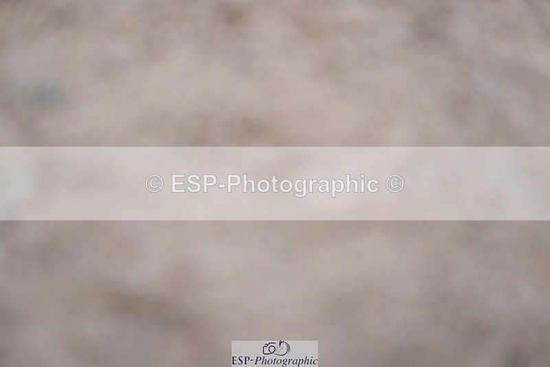 250308-133046-02202 - Cls 10 Pony Foxhunter and 1.10m