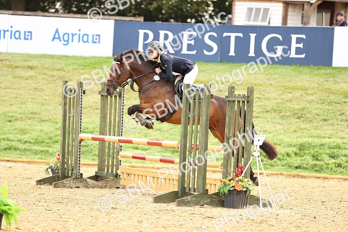 SBM_58423 - J41 - Grand Tour Horse & Pony 95cm