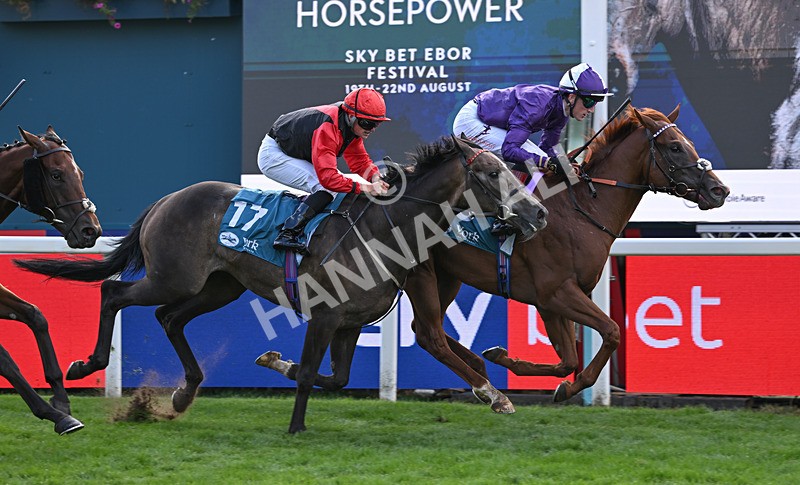 190826-264 Henley On Thames - Race 7 17.20pm Sky Bet Nursery Handicap