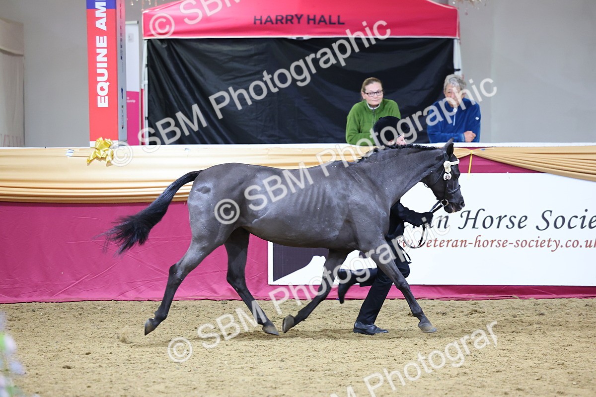 SBM_18550 - Class B Junior Champ 11-16 years