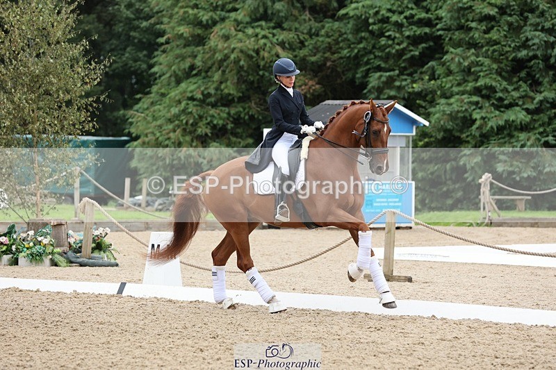 240810-164234-04423 - PSG Silver