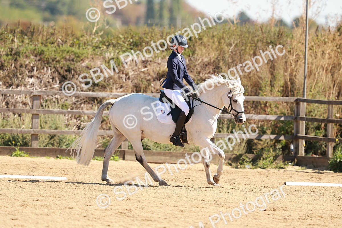 SBM_010519