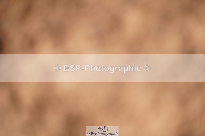 240524A-105556-02948 - Cls 14 Newcomers