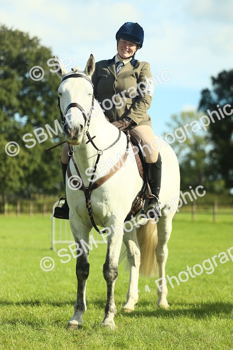 SBM_49899 - S32 - Novice & Newcomers Working Hunter