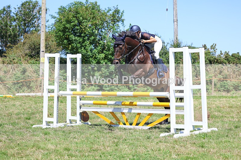 3E7A5686 - Class 9: Senior British Novice/90cm open