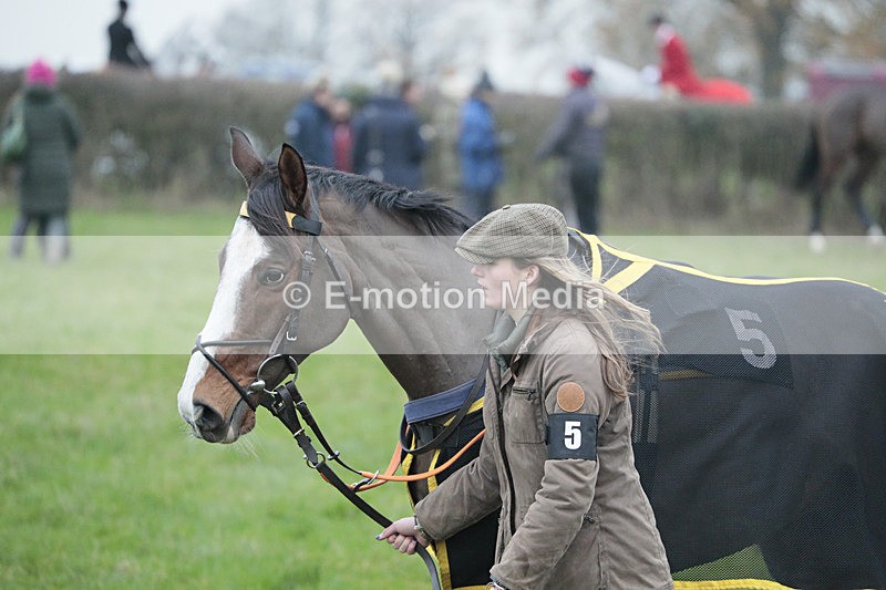PtP 041222 0371 - Wheatland  Hunt PtP Chaddesley Corbett, Worcs 04/12/22