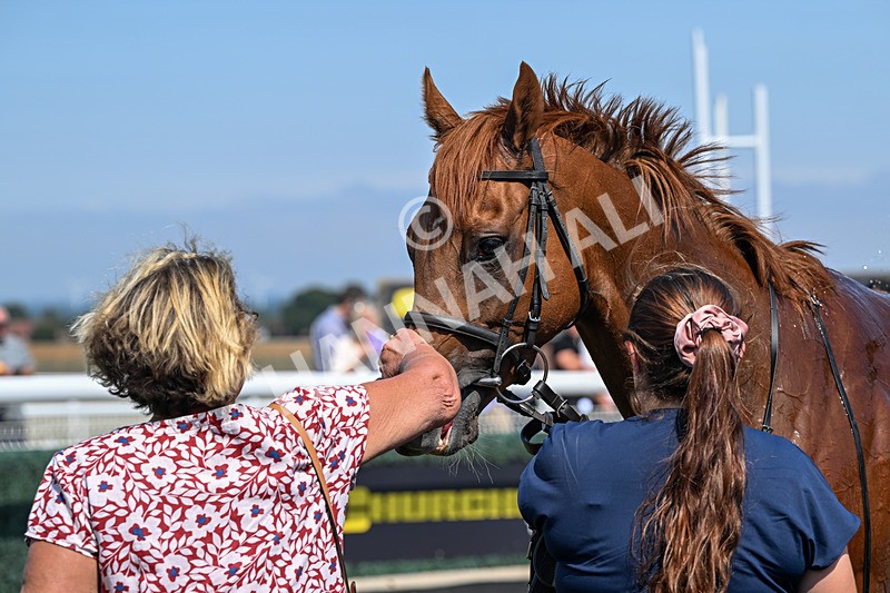 140726-Race 2-What A Tahoo-9996 - Race 2 14.47pm Young Guns Handicap
