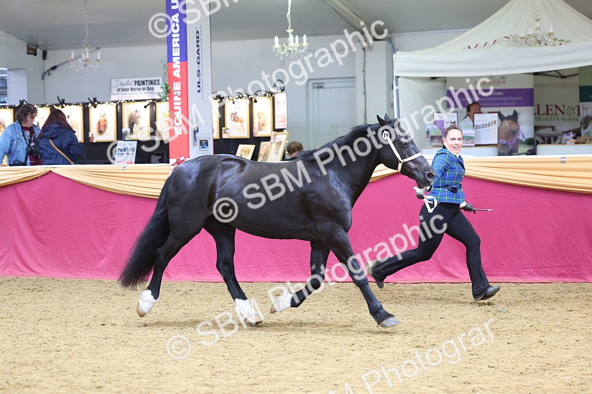 SBM_22770 - Class 903 - Supreme Final - IH Pre Vet