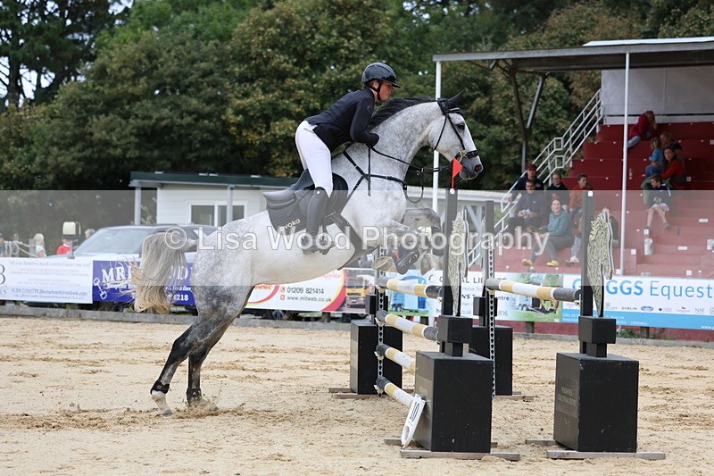 3E7A3176 - Class 8: Senior Newcomers/1.10m open