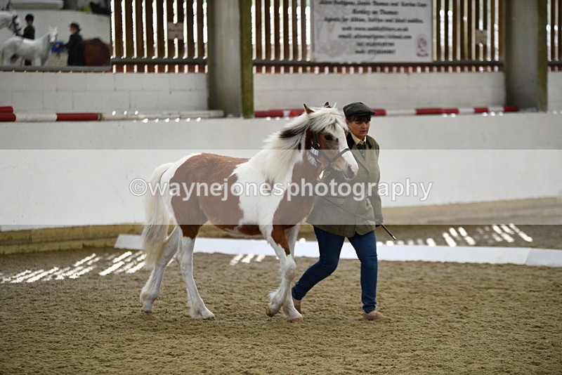 WJ5_4944 - Class 7 In hand coloured / odd coloured