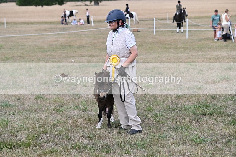 WJ6_7142 - Class 21 Shetland & Mini Horses