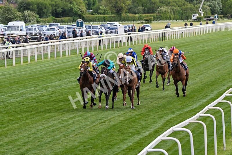 140526-Race 6-Dickensian-0310 - Race 6 4.40pm British Stallion Studs EBF Westow Stakes