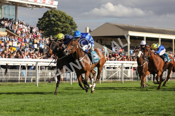 yr19082022r7-27 - Race 7 5.20pm Sky Bet Mile Stakes