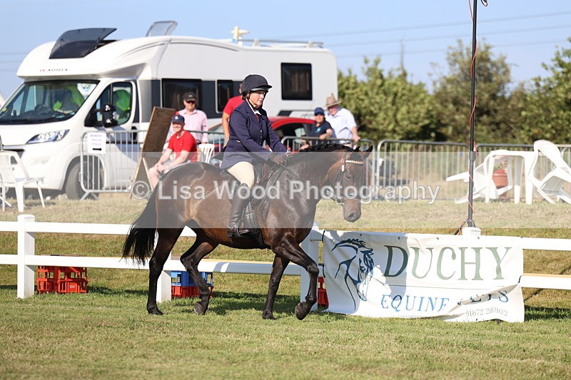 3E7A5474 - Class 2: Rising Star Large Hack/Riding Horse