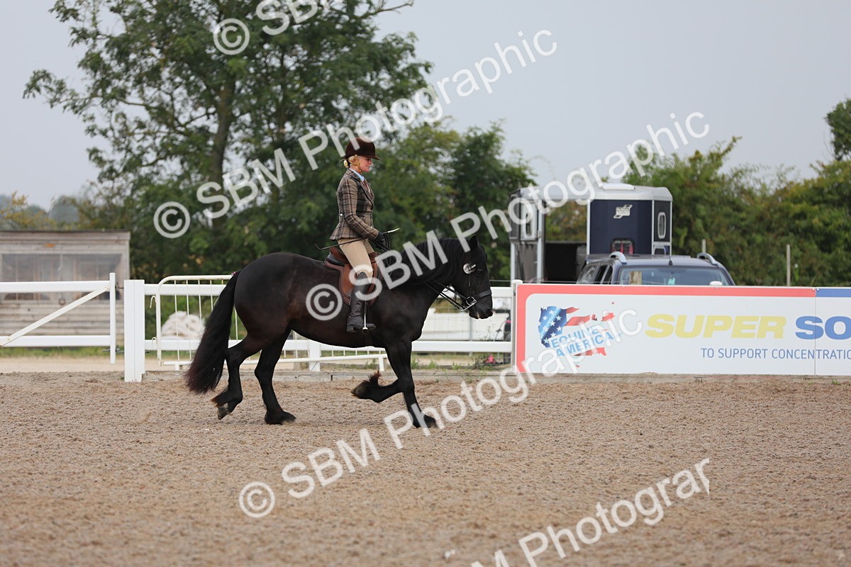 SBM_09992 - Class 302 Ridden M&M -Large Breeds