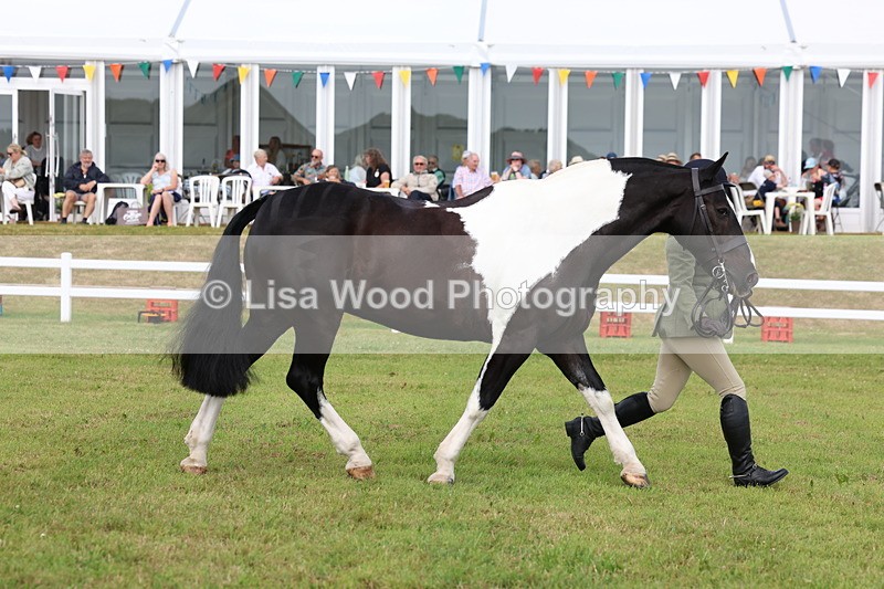 3E7A0408 - Class 6: Rising Star Maxi Cobs