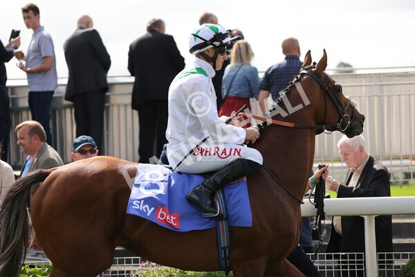 yr18082021r3-35 - Race 3 3.00pm Sky Bet Great Voltigeur Stakes