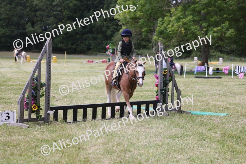 20260614-2034 - Class 21 - Novice Working Hunter Pony