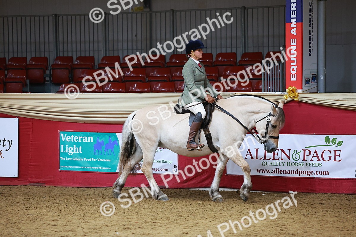SBM_09347 - Class 102 - HOYS Veteran Qualifier - Ridden Veteran