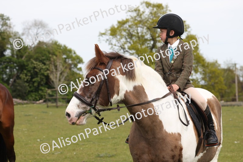 20260426-4390 - Class 34 - Best Riding Horse Over 14.2hh