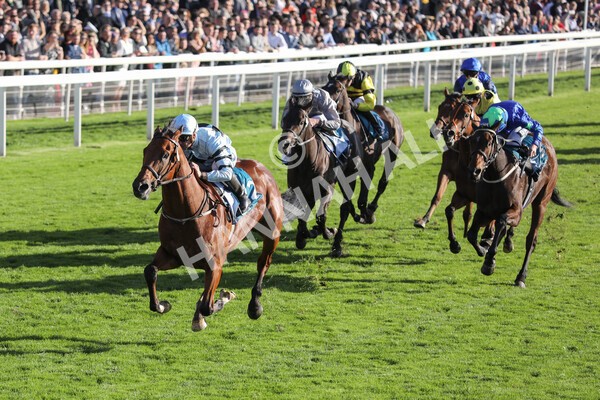 yr08102022r5-33 - Race 5 3.50pm The Coral Committed To Safer Gambling EBFStallions.com Maiden Stakes