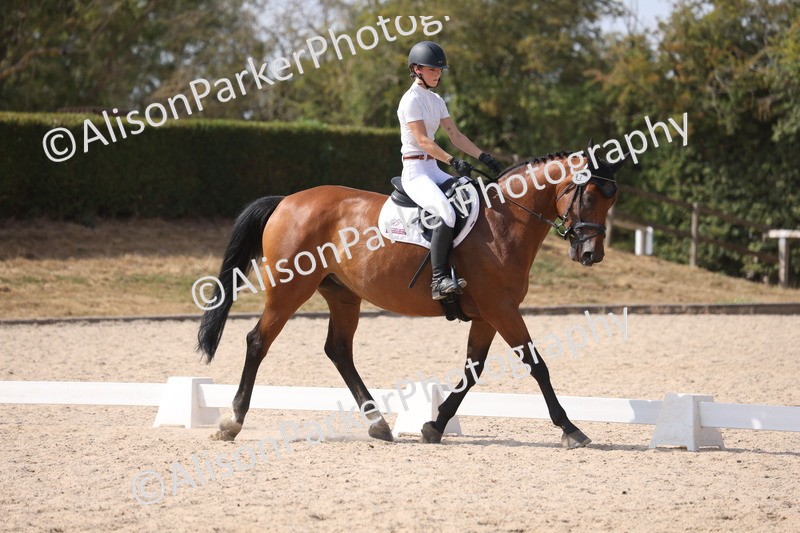 20260815-1081 - Class 6 - Novice 2