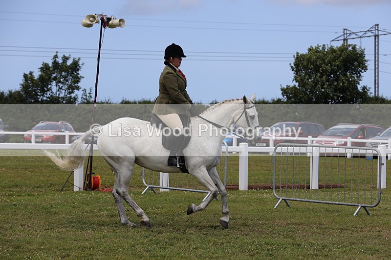 1X9A4351 - Class 34: Veteran Ridden