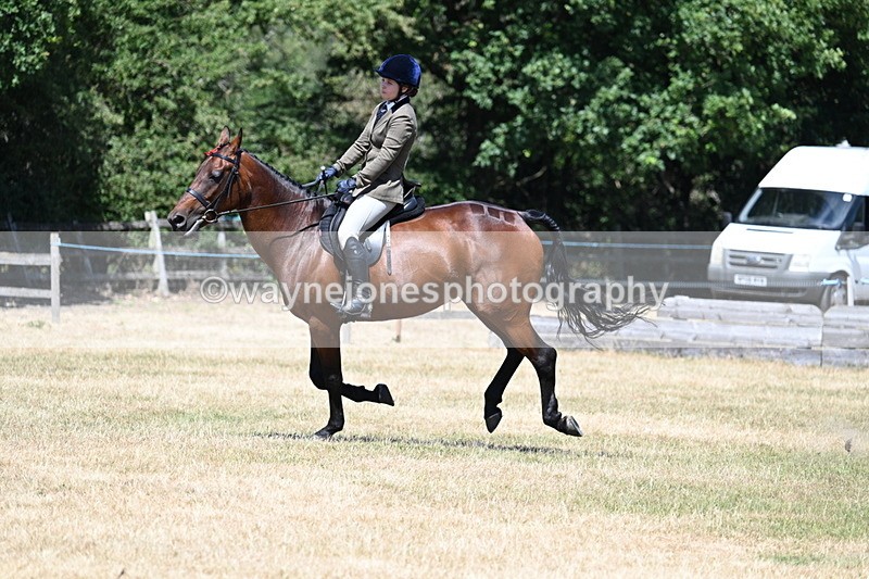 WJ7_3111 - Class 7 Riding Club Show Horse
