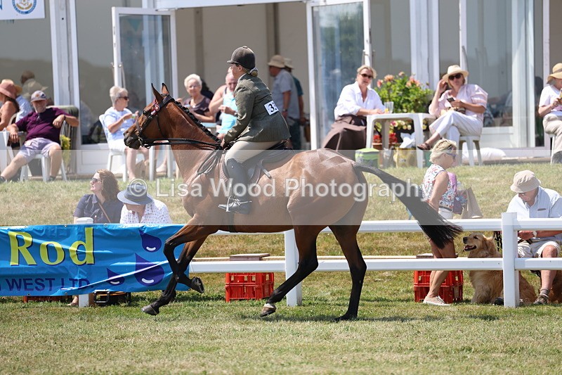 3E7A9391 - Class 12: Open Racehorse to Show Horse