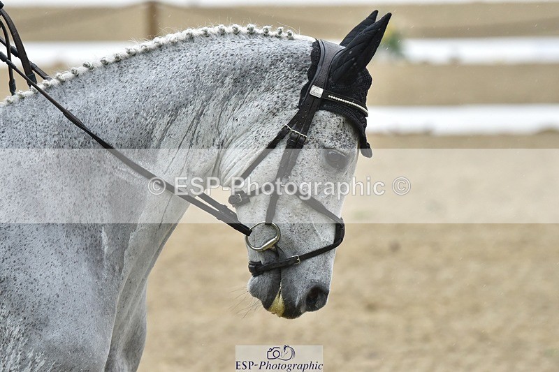 231018-144228-00622 - 003-BOB.CHAPLIN-Kate.Walls-DR