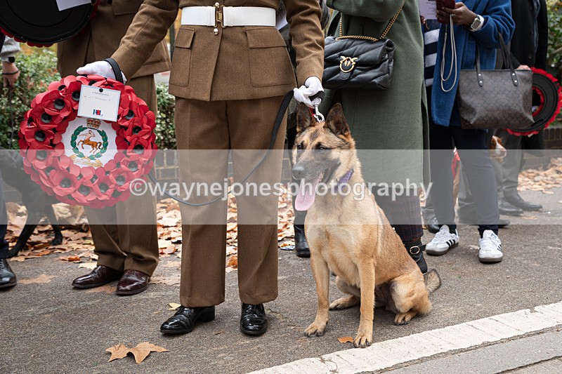 Z62_4533 - Animals In War Memorial 2025 - Park Lane, London