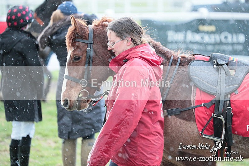 PtP 230324 1086 - Tedworth Hunt PtP Larkhill Raccourse 23rd March 2024