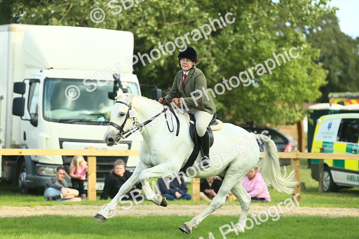 SBM_50715 - S33 - Working Hunter & Working Show Horse