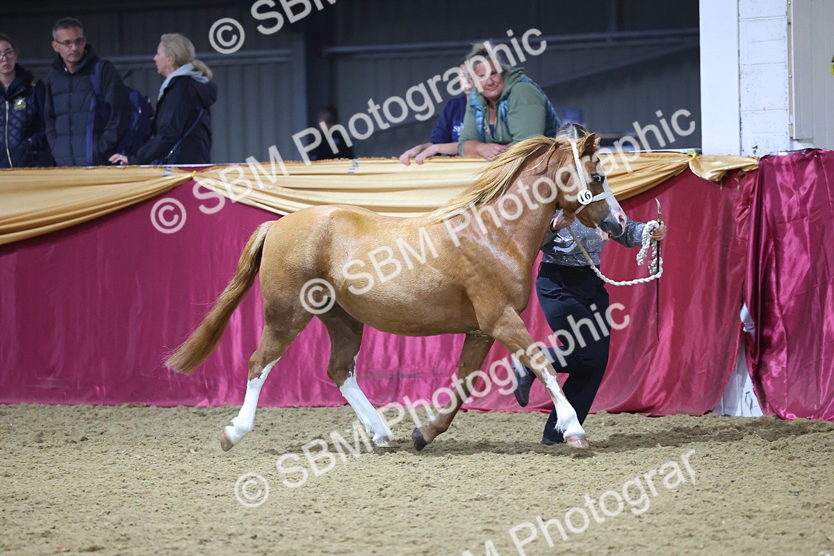 SBM_18940 - Class F Grass Roots Champ