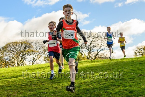 NatRel25-914286 - Young Male Set One