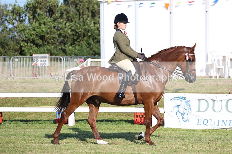 3E7A4896 - Class 1: Rising Star Small Hack/Riding Horses