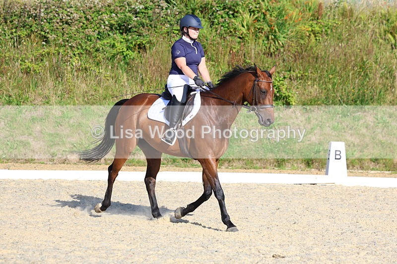 3E7A3594 - Class 2: Intro 1 2024 Section B