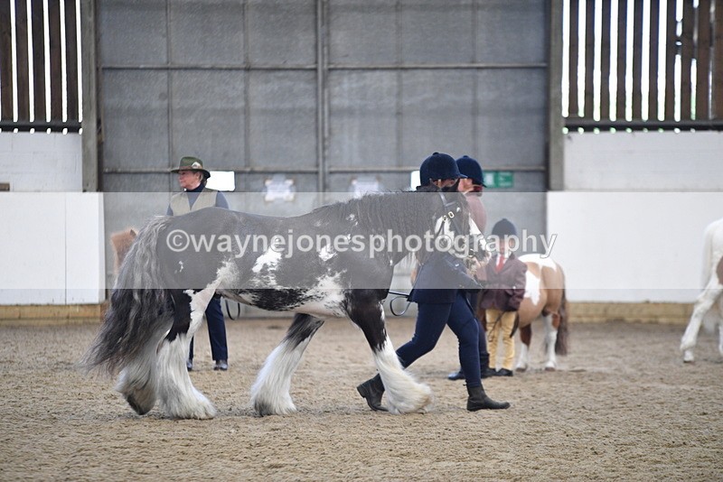 WJ5_4676 - Class 7 In hand coloured / odd coloured