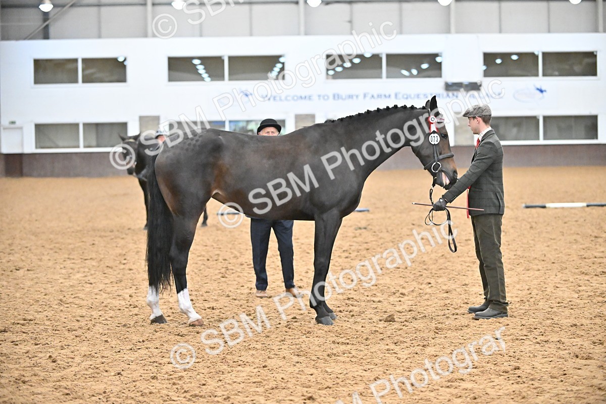 SBM_000778 - Class 16 - In Hand Showing Supreme Championships