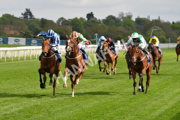 yr14052021r7-23 - Race 7 4.50pm Irish Thoroughbred Marketing Stakes