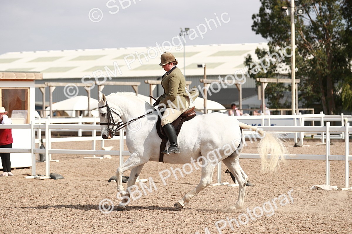SBM_14861 - Class 212 Ridden Hunter - Small