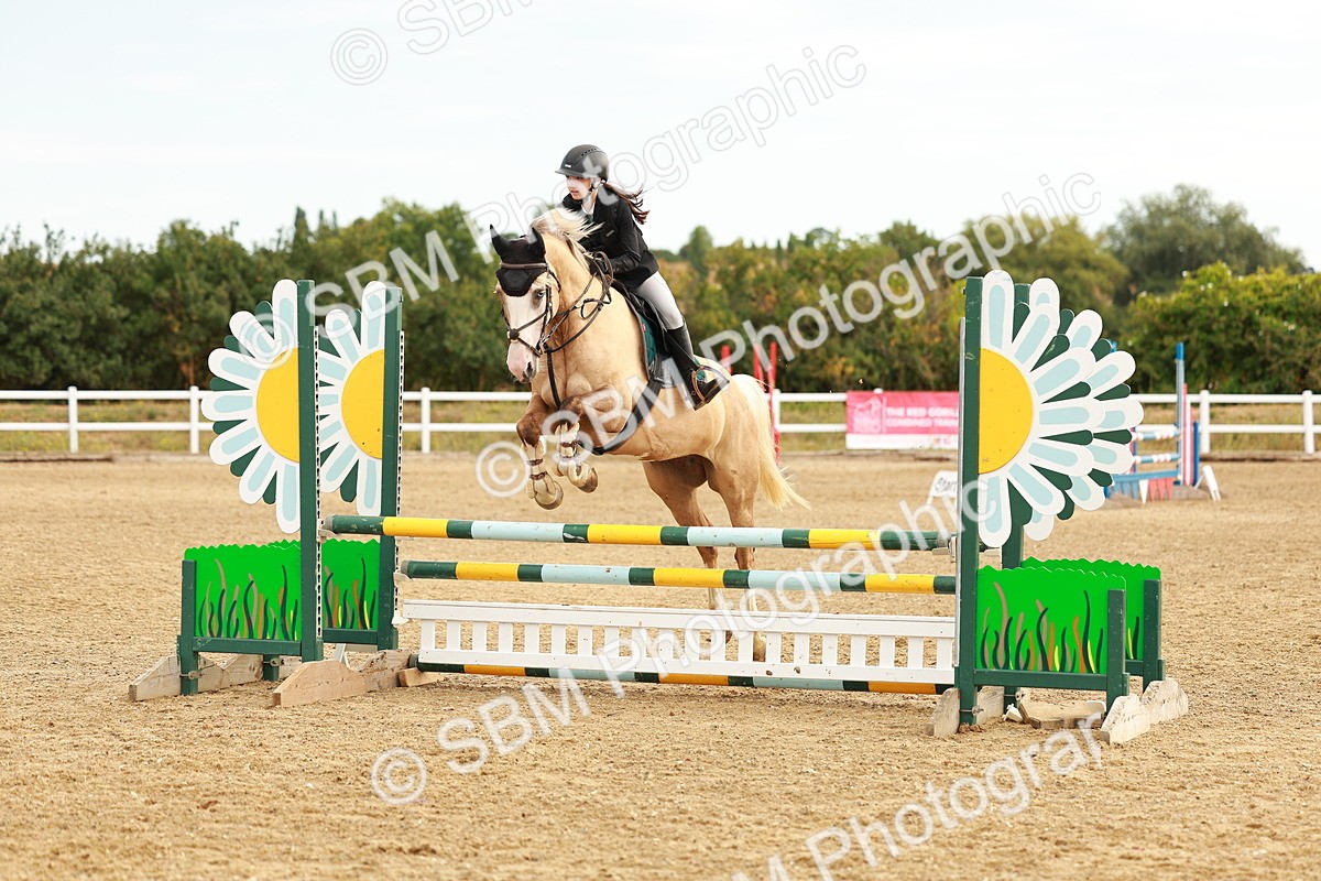 SBM_002242 - Class 9 - Senior British Novice - 90cm