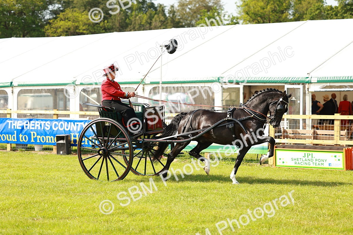 SBM_01182 - Class 2-4 - HOYS Private Driving