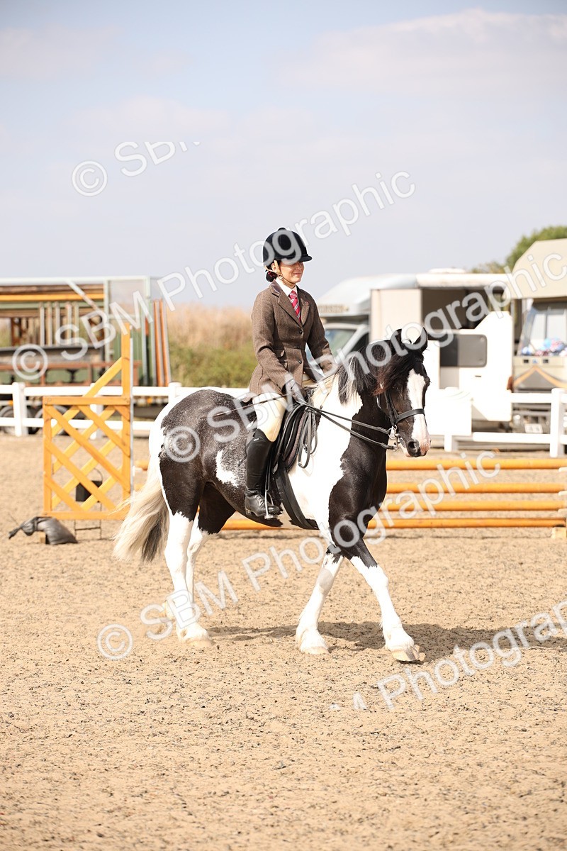 SBM_14973 - Class 408a - Working Veteran 70cm (15-19