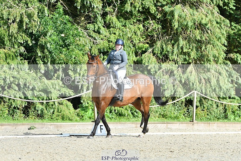 230623-172054-01503 - Cls 8 Medium 73Q