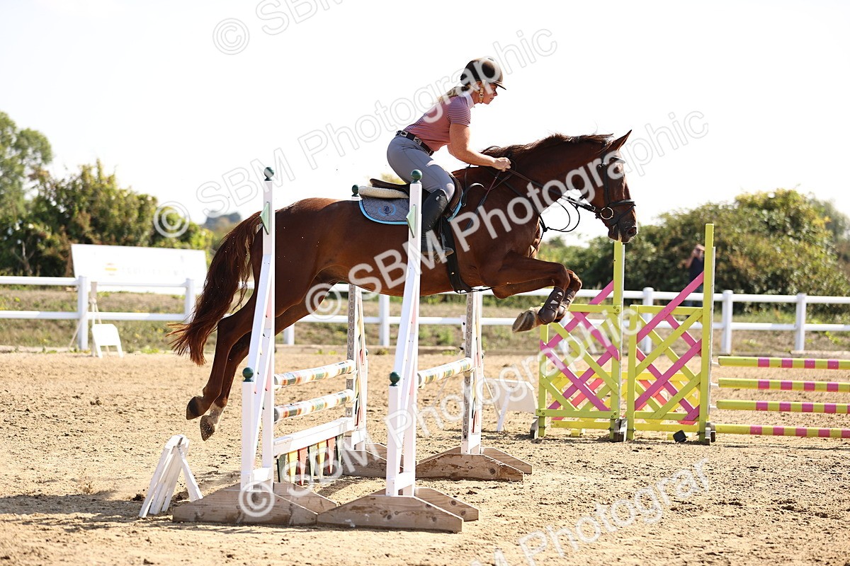 SBM_005610 - Class 9 - Senior British Novice - 90cm